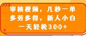 最新审核视频，几秒一单，多劳多得，新人小白一天轻松3张【揭秘】-就爱副业网