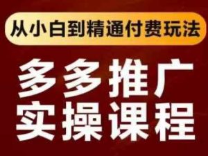 拼多多推广实操课程，从小白到精通付费玩法-就爱副业网