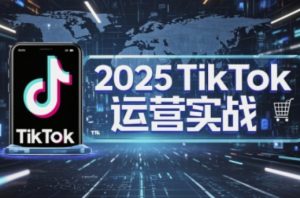 2025TikTok电商运营，掌握TikTok店铺运营核心技巧，实现低成本高转化-就爱副业网