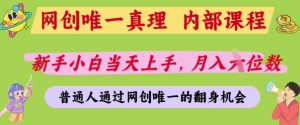 网创唯一真理，内部课程，新手小白当天上手，月入5位数，普通人通过网创唯一的机会【揭秘】-就爱副业网