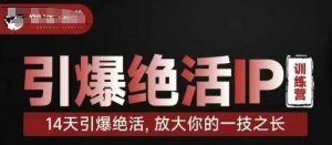引爆绝活IP训练营，14天引爆绝活，放大你的一技之长-就爱副业网