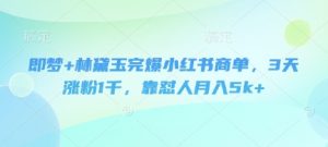 即梦+林黛玉完爆小红书商单，3天涨粉1千，靠怼人月入5k+-就爱副业网