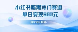 小红书冷门”暗黑”赛道，单日收益多张-就爱副业网