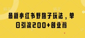 最新小红书野路子玩法，单日引流200+创业粉-就爱副业网