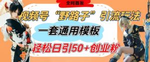 视频号“野路子”玩法，评论区疯狂截流，一套模板单日单号引流50+创业粉-就爱副业网