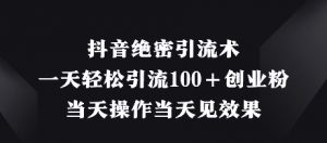 抖音绝密引流术，一天轻松引流100+创业粉，当天操作当天见效果-就爱副业网