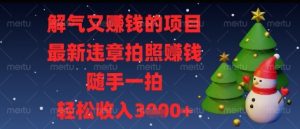 解气又挣钱的项目，最新违章拍照挣钱，随手一拍，轻松收入多张【揭秘】-就爱副业网