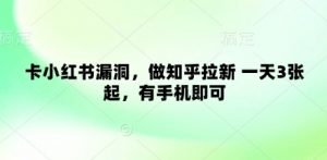 卡小红书漏洞，做知乎拉新 一天3张起，有手机即可-就爱副业网