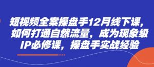 短视频全案操盘手12月线下课，如何打通自然流量，成为现象级IP必修课，操盘手实战经验-就爱副业网