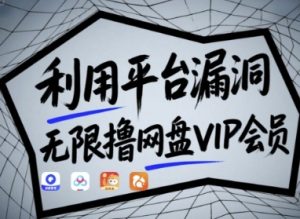利用平台漏洞，无限撸网盘VIP会员，用户亲测有效!【漏洞原理+操作演示】-就爱副业网