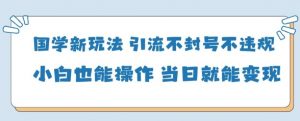 国学新玩法，引流不封号不违规小白也能操作，当日就能变现-就爱副业网