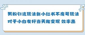 男粉引流玩法(新)，玩法友好做的好当天就能变现-就爱副业网