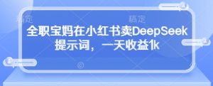 全职宝妈在小红书卖DeepSeek提示词，一天收益1k-就爱副业网