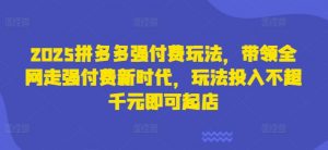 2025拼多多强付费玩法，带领全网走强付费新时代，玩法投入不超千元即可起店-就爱副业网