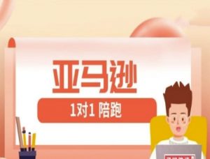 亚马逊1对1陪跑课(FBA/FBM精铺)跨境亚马逊教程-就爱副业网