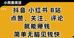 小而美的项目，抖音小红书B站视频点赞、关注、评论就能挣钱，简单无脑立见收益，妥妥的零撸项目【揭秘】-就爱副业网