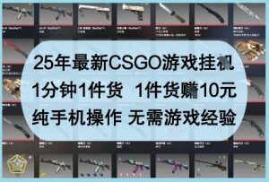 25年最新CSGO游戏挂G，1分钟1件货，1件货挣10元，纯手机操作，无需游戏经验【揭秘】-就爱副业网