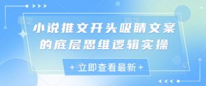 小说推文开头吸睛文案的底层思维逻辑实操-就爱副业网