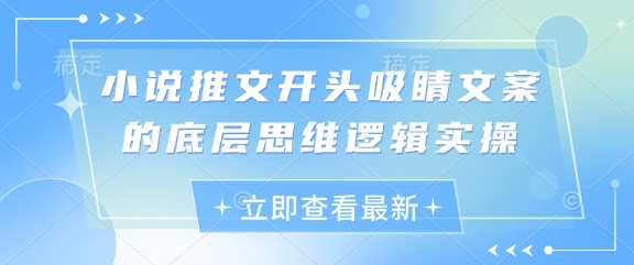 久爱副业网,网赚项目,网赚论坛博客网分享小说推文开头吸睛文案的底层思维逻辑实操