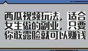 西瓜视频玩法，适合女生做的副业，只要你敢露脸就有收益-就爱副业网