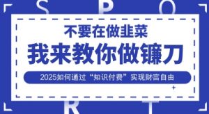 韭菜生涯终结者，我来教你做镰刀，2025如何通过“知识付费”实现财F自由【揭秘】-就爱副业网