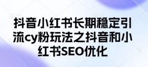 抖音小红书长期稳定引流cy粉玩法之抖音和小红书SEO优化-就爱副业网