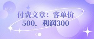 付费文章：客单价500，利润300-就爱副业网
