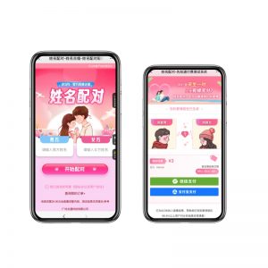 2025姓名配对测算最新源码-就爱副业网