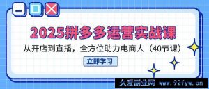 （14259期）2025拼多多运营实战课，从开店到直播，全方位助力电商人（40节课）-就爱副业网