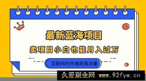 （14289期）2025年最新蓝海项目，卖项目小白也能月入过万-就爱副业网