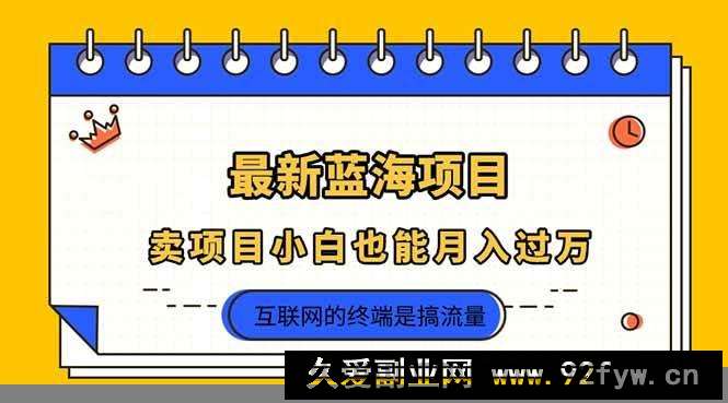 图片[1]-（14289期）2025年最新蓝海项目，卖项目小白也能月入过万-就爱副业网