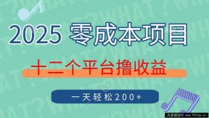 （14302期）2025年零成本项目，十二个平台撸收益，单号一天轻松200+-就爱副业网