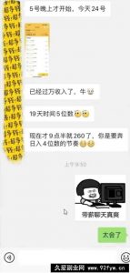（14312期）手机聊天即可赚钱，一小时狂薅300+！多开矩阵立马翻倍，提现秒到账！（…-就爱副业网