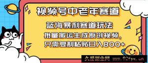（14314期）2025视频号中老年短视频蓝海暴利风口！复制粘贴搬运视频单日赚800+，无…-就爱副业网