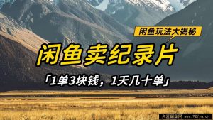 闲鱼卖纪录片，简单又赚钱的小项目，1单3块钱  1天几十单-就爱副业网