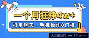 （14340期）一个月狂挣4w+，打字聊天，手机操作0门槛，新手小白都能做！-就爱副业网