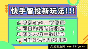 （14372期）快手智投新玩法，单机日入40+，可批量，可查询实时收益，收益日结24小…-就爱副业网