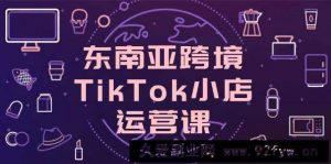（14390期）东南亚跨境TikTok小店运营课，掌握店铺设置与流量转化核心技巧-就爱副业网
