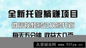 （14425期）全新托管躺赚项目，微信视频号公众号托管代运营，每天五分钟，收益大几百-就爱副业网