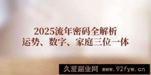 （14466期）2025流年密码全解析，运势、数字、家庭三位一体-就爱副业网