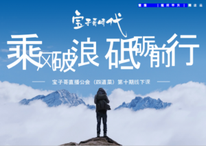 宝子哥-2025年4.12-13号线下课12节完整听得清版-就爱副业网