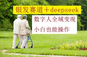 银发赛道+deepseek数字人全域变现，小白也能操作-就爱副业网