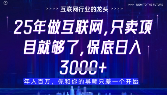 久爱副业网,网赚项目,网赚论坛博客网分享什么！25年你还在找项目做？风口早就变了，卖项目才是稳挣不赔【揭秘】
