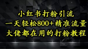 小红书打粉引流，一天轻松500+精准流量，大佬都在用的打粉教程-就爱副业网