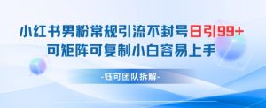 小红书男粉常规引流不封号日引99+变现简单 可矩阵可复制小白容易上手-就爱副业网