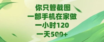 久爱副业网,网赚项目,网赚论坛博客网分享你只管截图，一部手机在家做，苹果安卓都可以，一天5张+【揭秘】