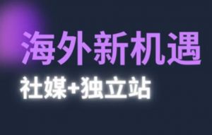 2025出海新机遇(社媒+独立站)，海外新机遇，实现独立站的高效运营与出海-就爱副业网