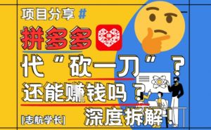 【2025最新】拼多多代坎助力项目深度拆解：还能挣钱吗?全流程玩法-就爱副业网