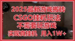 2025最新游戏搬砖，CSGO挂G，不需要玩游戏，实现真挂G，月入1W+【揭秘】-就爱副业网