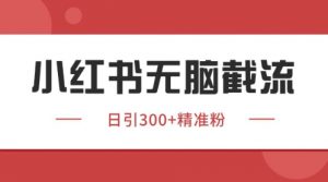 小红书只要你有同行就能获客，独家野路子获客玩法，暴力截流【揭秘】-就爱副业网